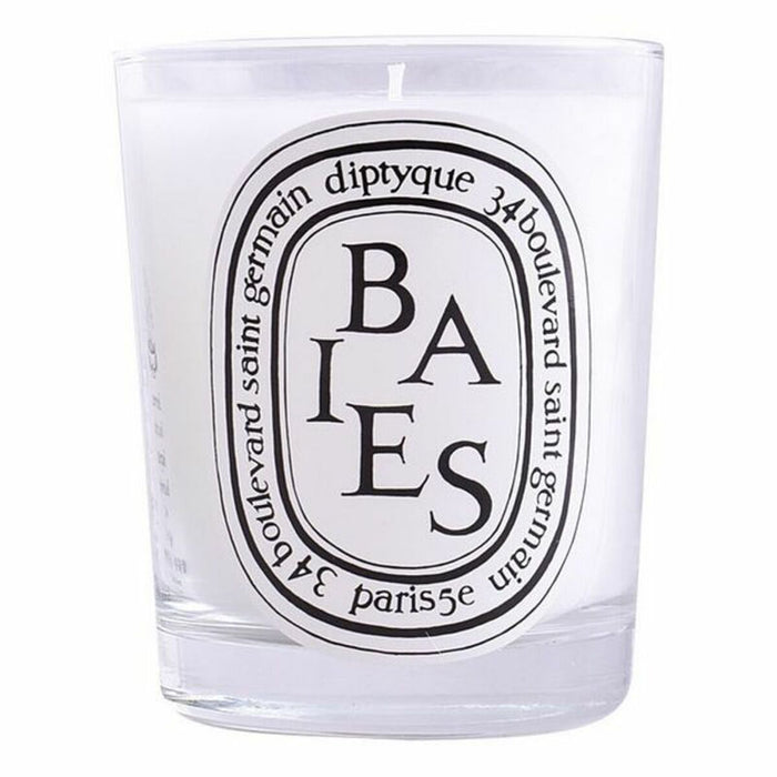 Air Freshener Diptyque Scented Candle 190 g