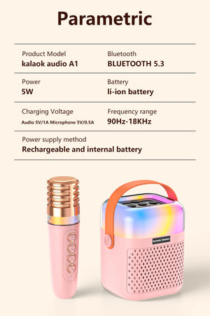 Bluetooth K12 Karaoke Machine Portable 5.3 PA Speaker System with 1-2 Wireless Microphones Home Family Singing Children's Gifts